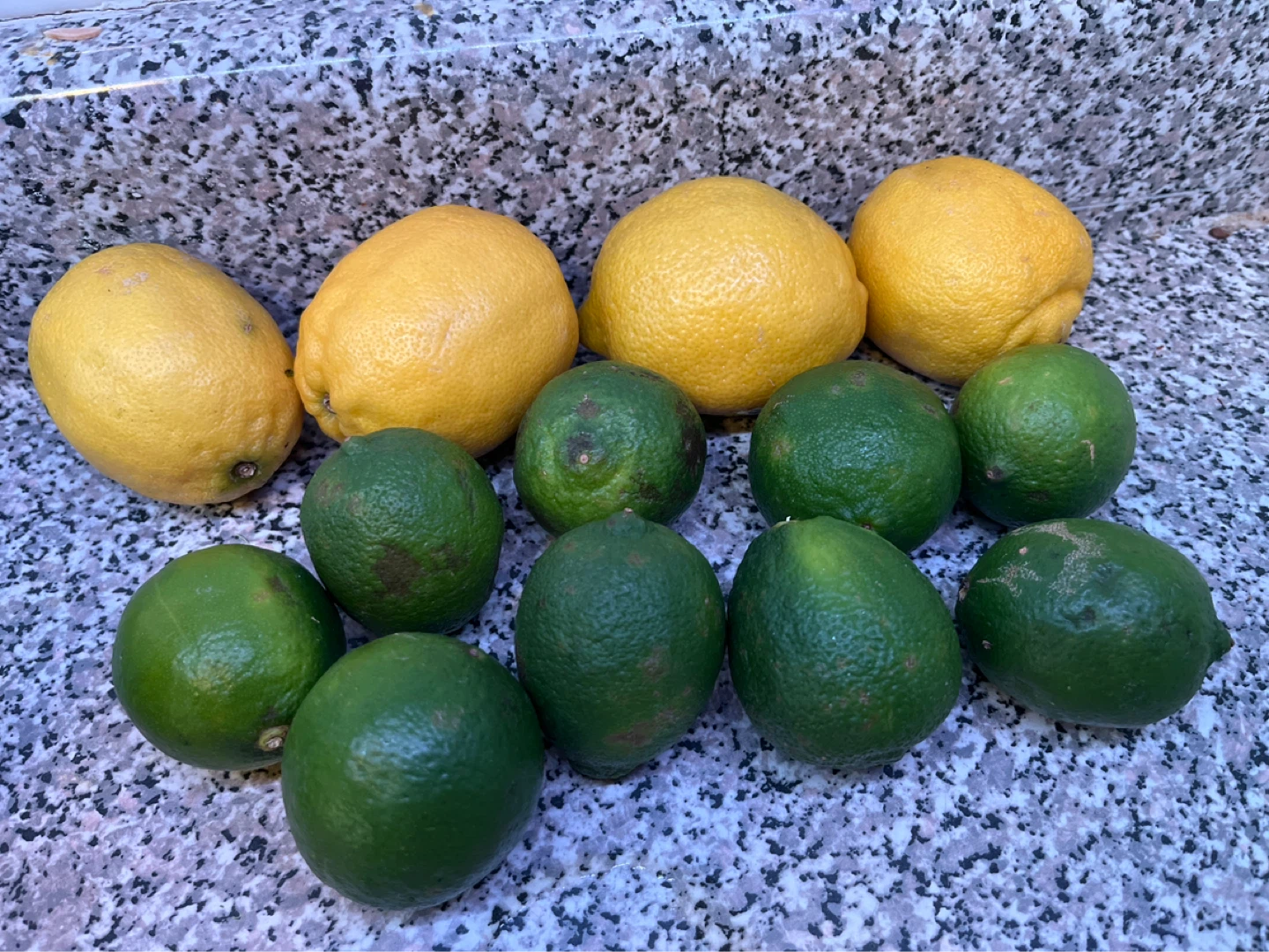 4 Lemons and 9 Limes
