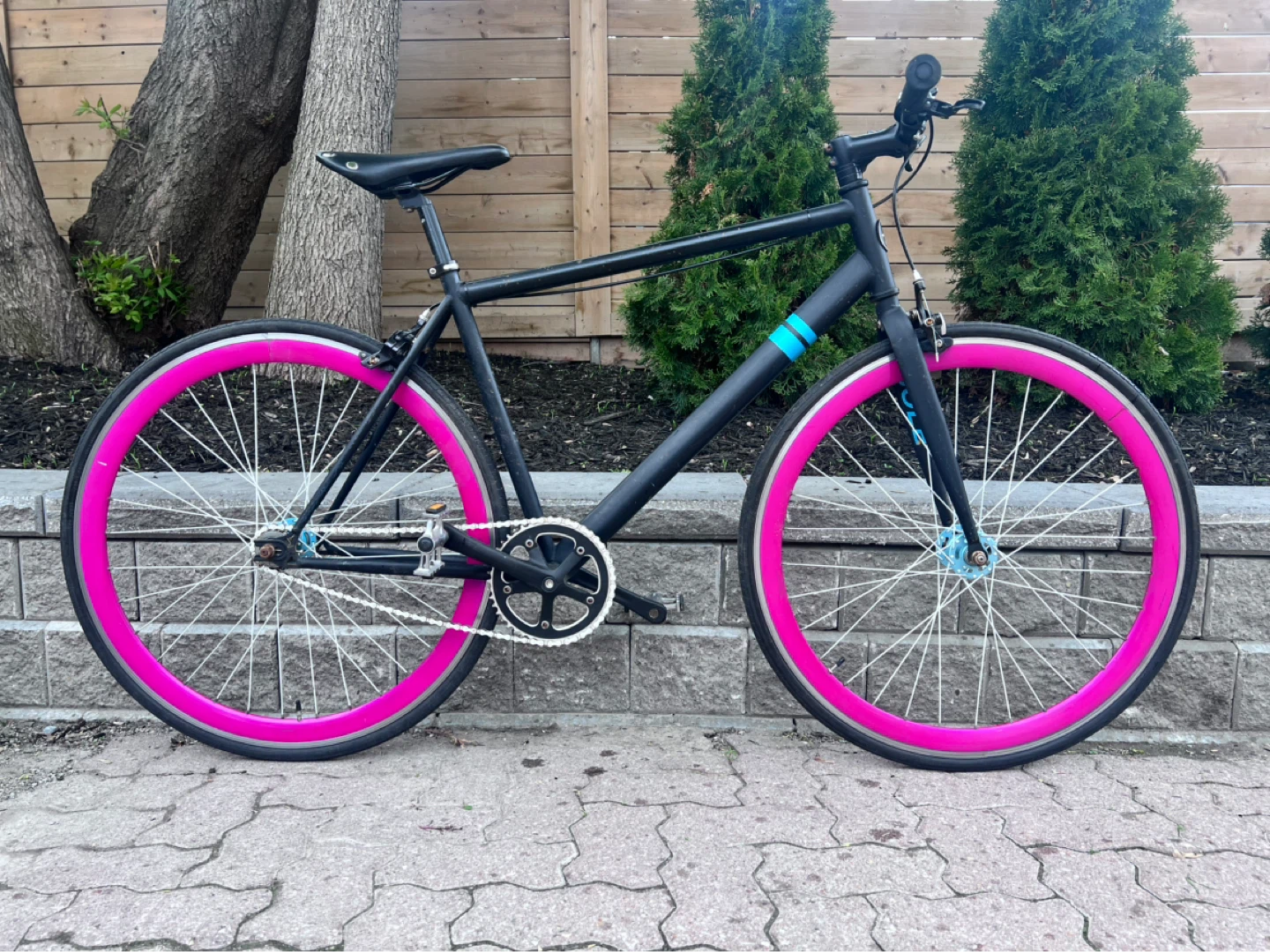Solé single speed / fixed gear bike