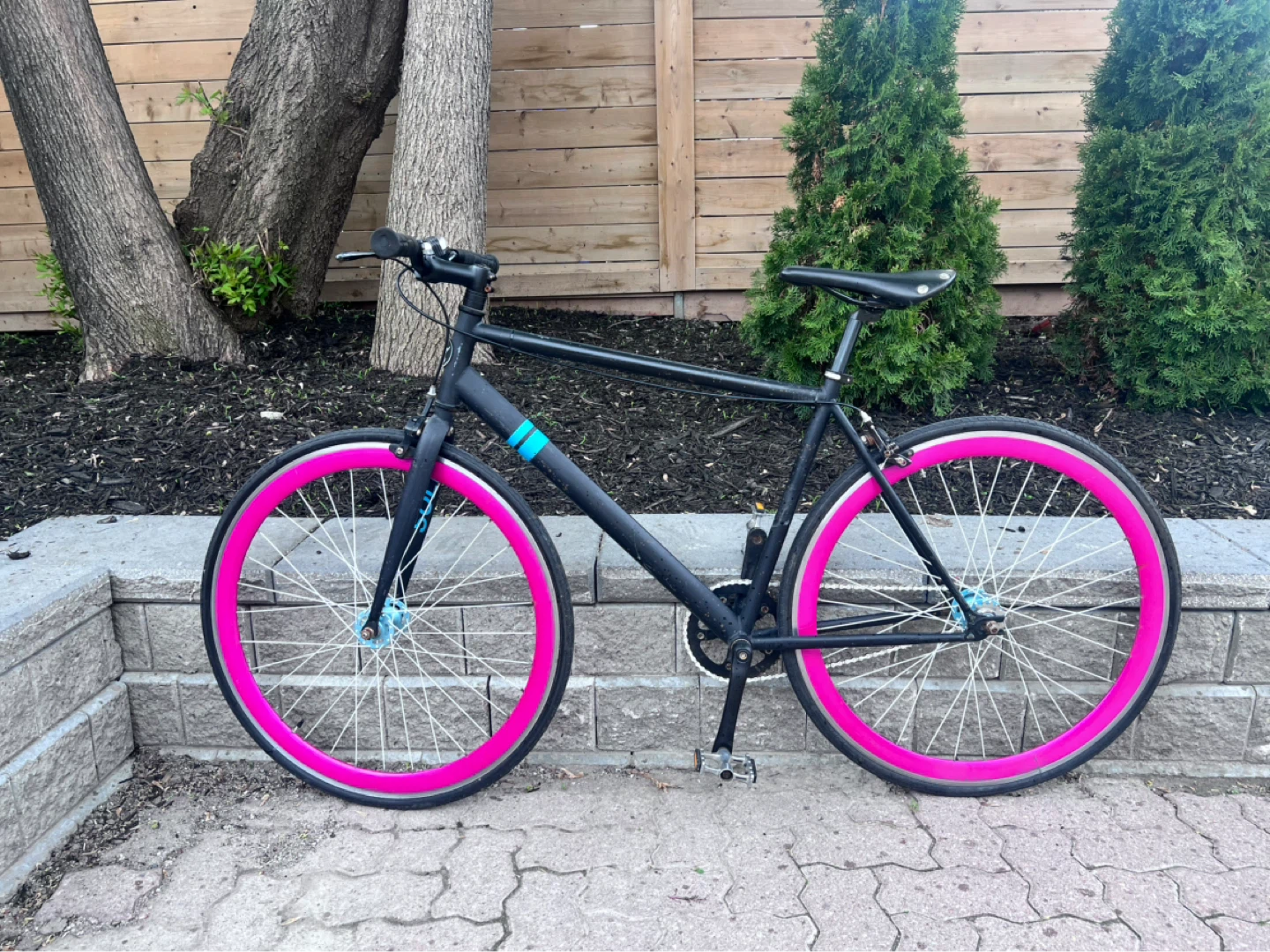 Solé single speed / fixed gear bike - photo 2