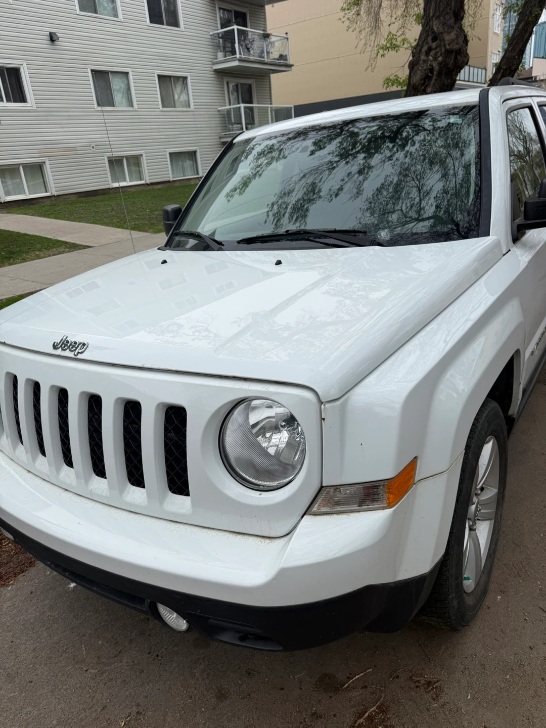 2015 patriot