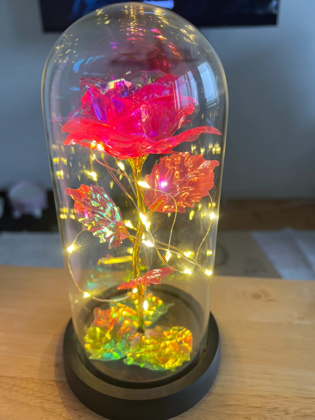 Enchanted Rose Dome with LED Lights