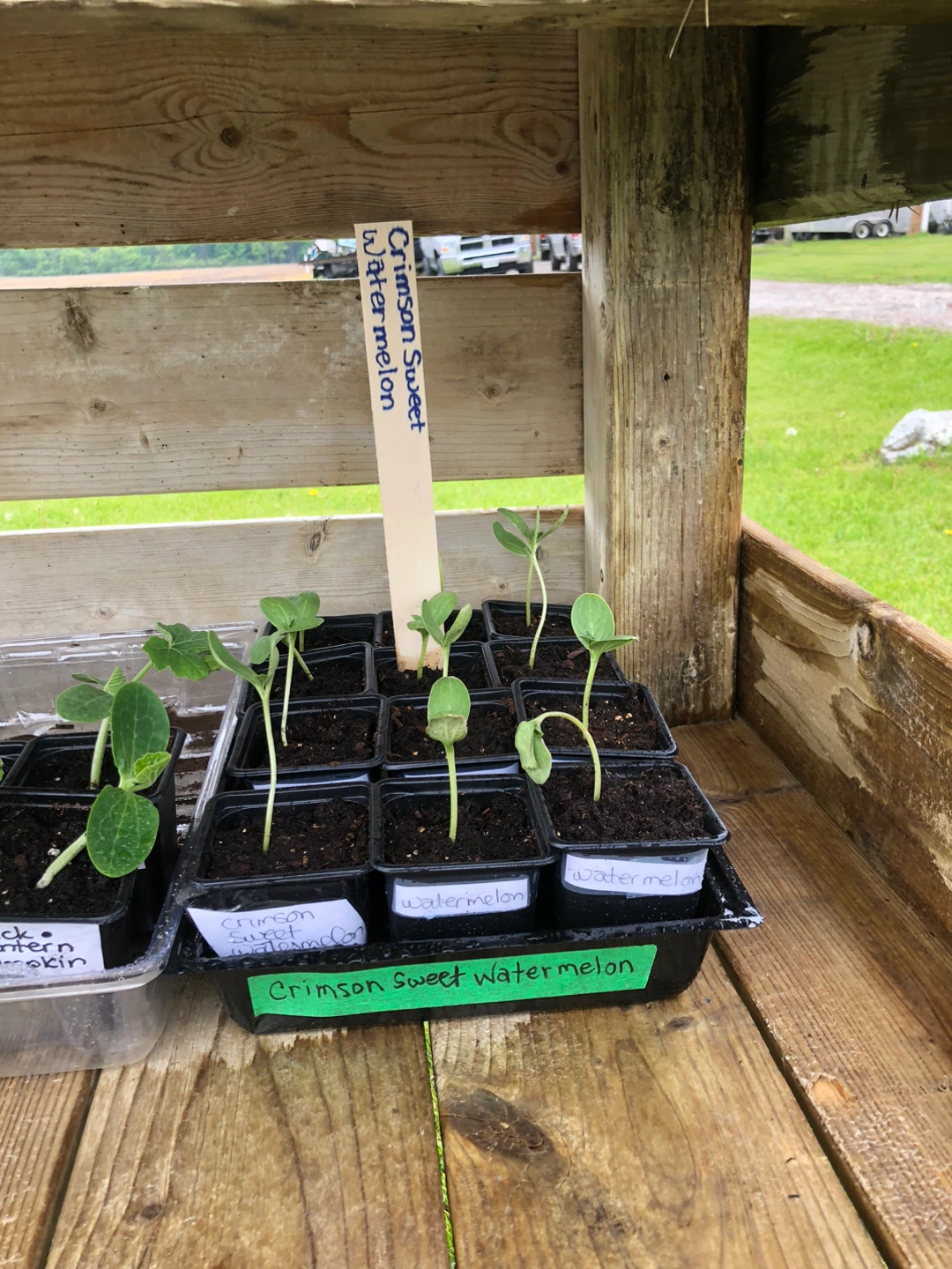 Garden Vegetable Plant Stand - photo 2