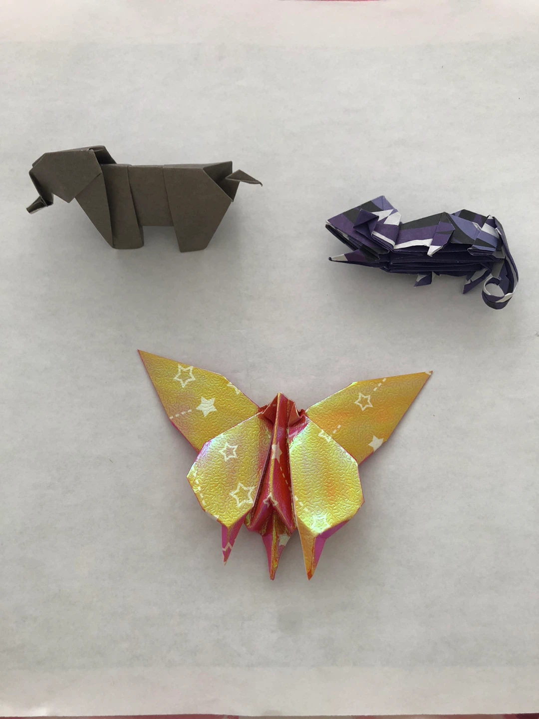 Butterfly ,elephant , chameleon origami