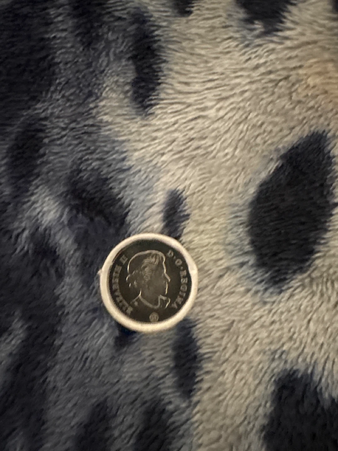 2022 Canadian 50 Cent Coins Roll - photo 2