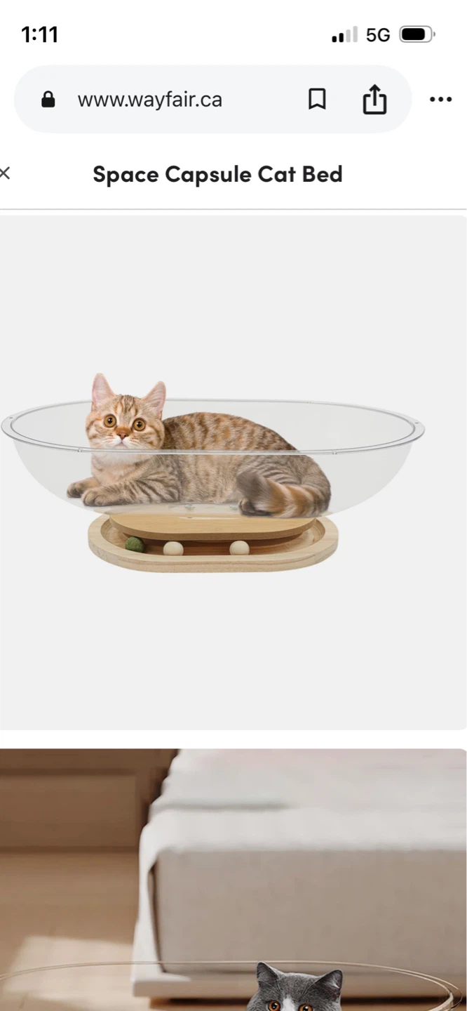 New Space Capsule Cat Bed