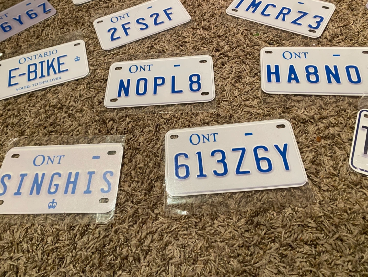 Ontario E-Bike License Plate