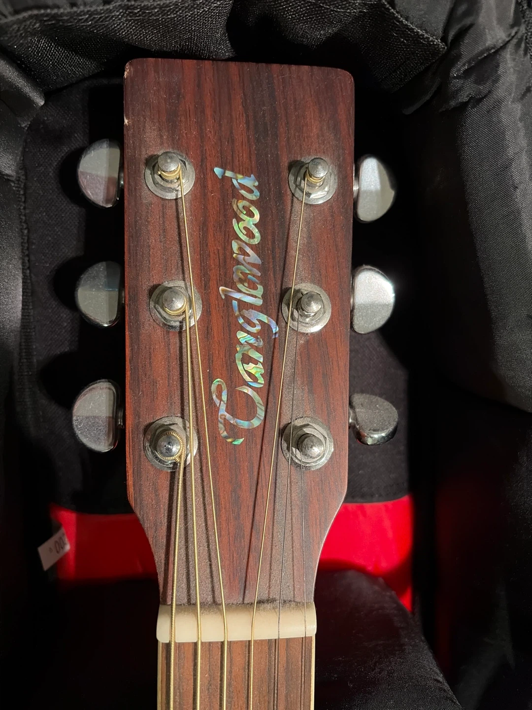 Tanglewood Acoustic Guitar with Gig Bag and Stand - photo 2