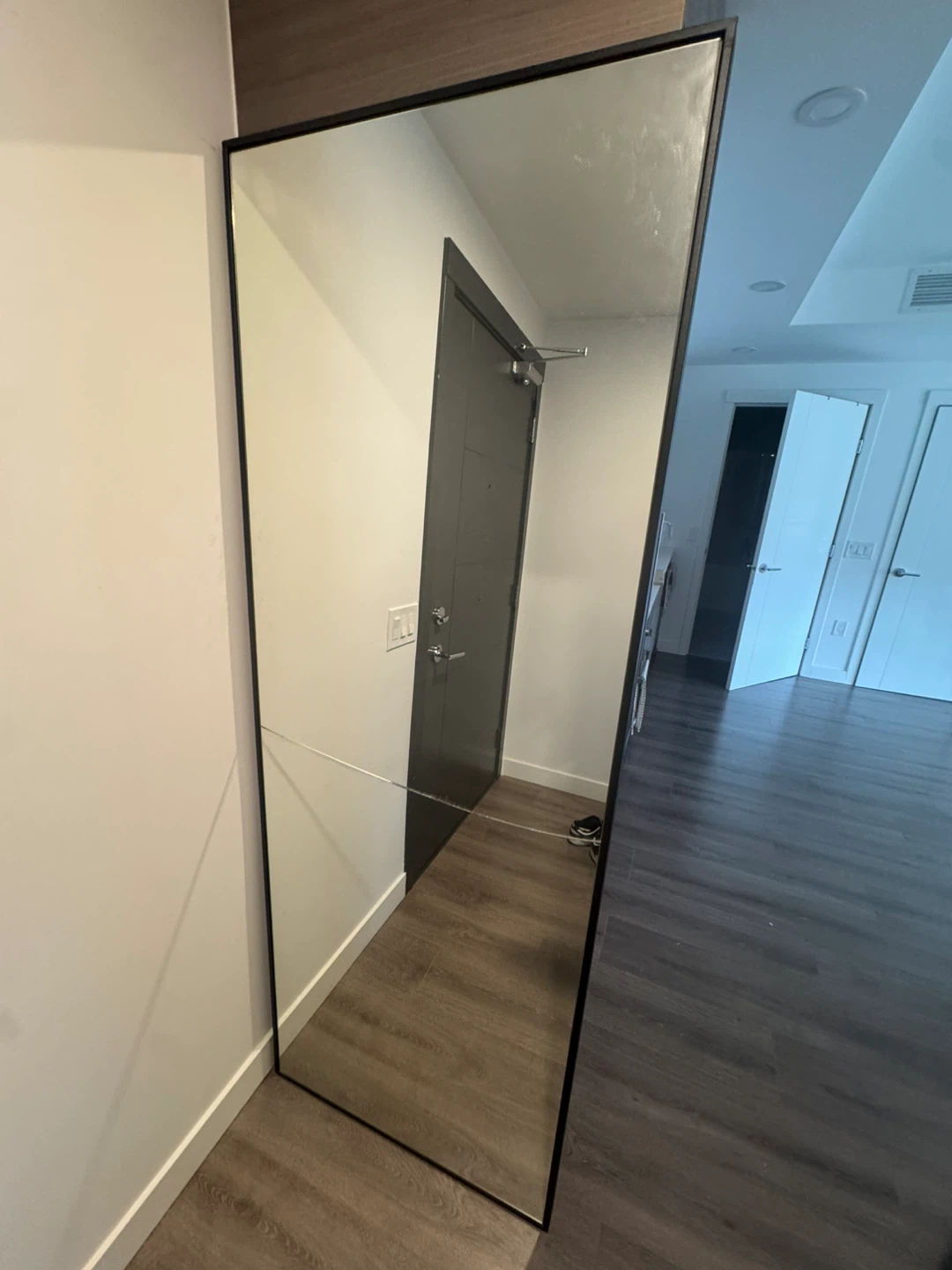 Full Length Black Framed Mirror