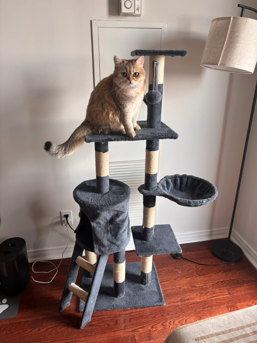 Multi-Level Cat Tree Condo with Hammock and Scratching Posts - photo 4