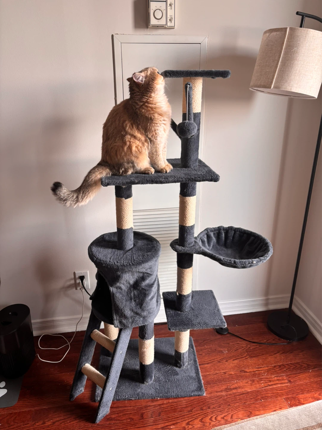 Multi-Level Cat Tree Condo with Hammock and Scratching Posts - photo 5