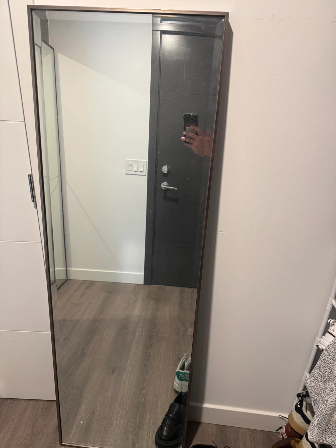 Full Length Mirror with Dark Frame