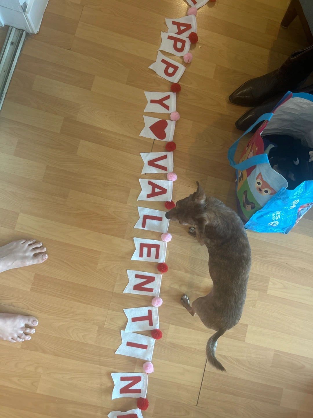 Happy Valentine's Day Banner