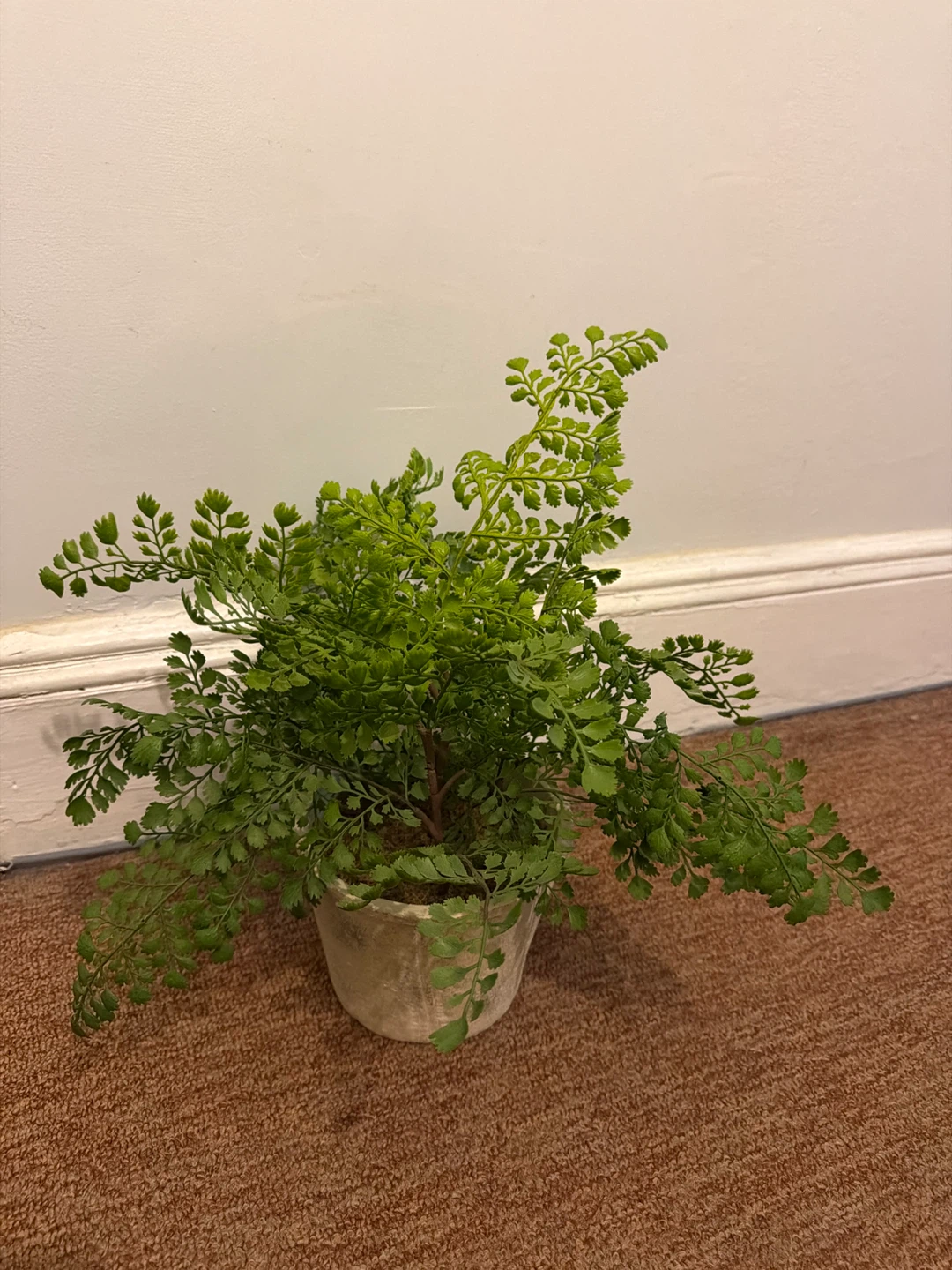 Artificial Fern Plant in ceramic pot