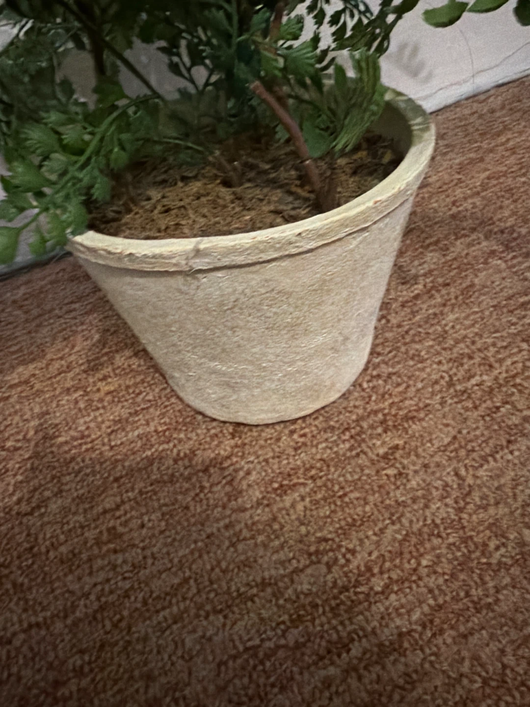 Artificial Fern Plant in ceramic pot - photo 2