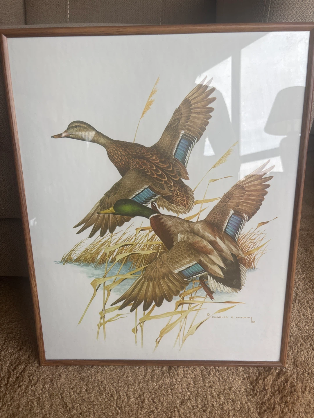 Charles E. Murphy, Mallards ON The Rise Print
