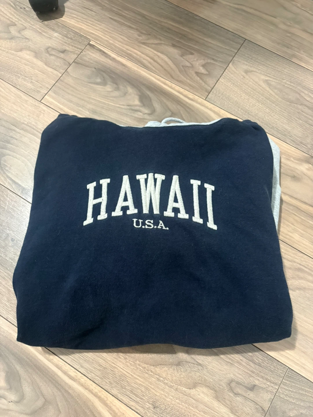 Brandy Melville, Hawaii oversized hoodie