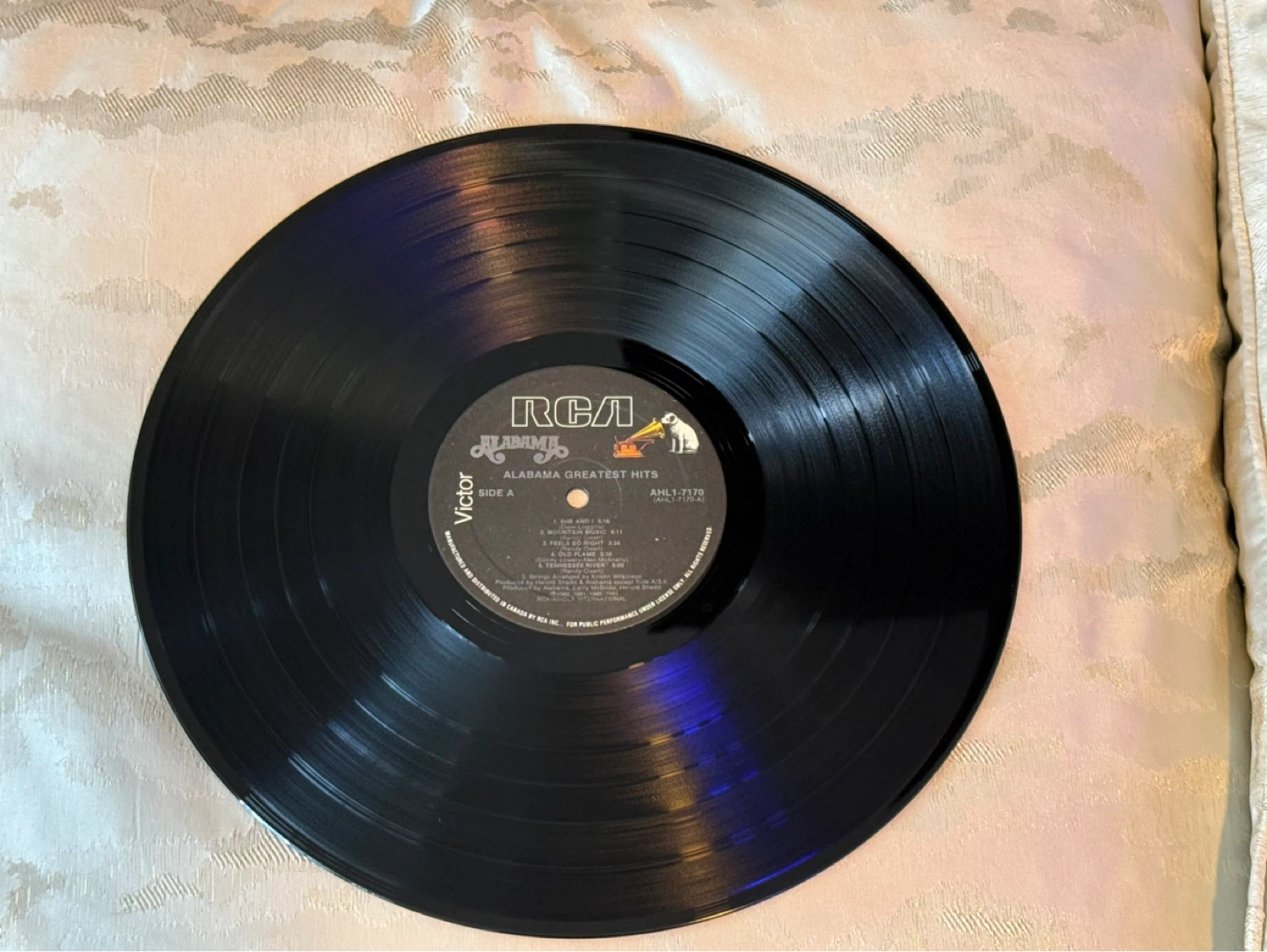 Alabama Vinyl Record - photo 4