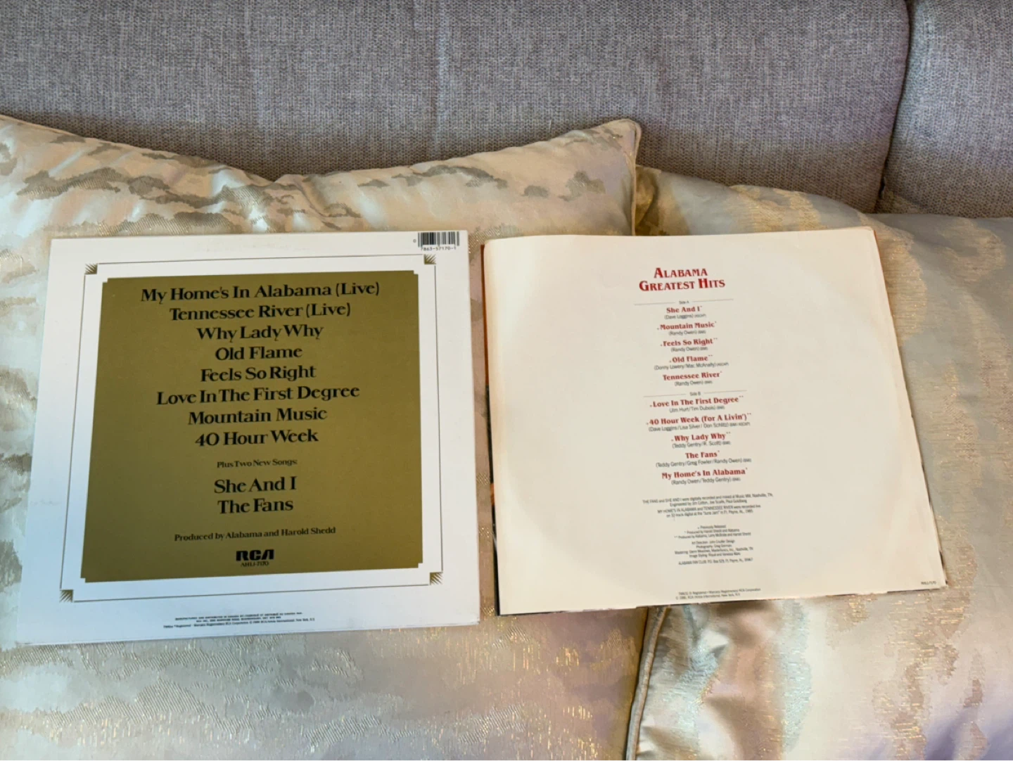 Alabama Vinyl Record - photo 2