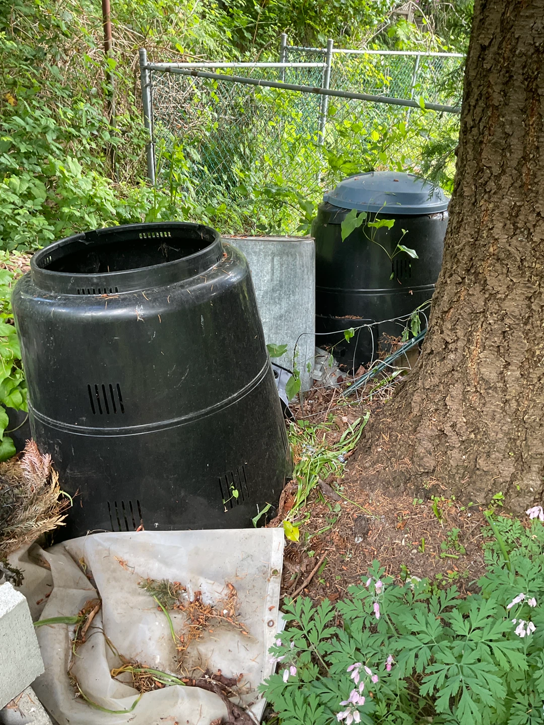 Black Plastic Compost Bin