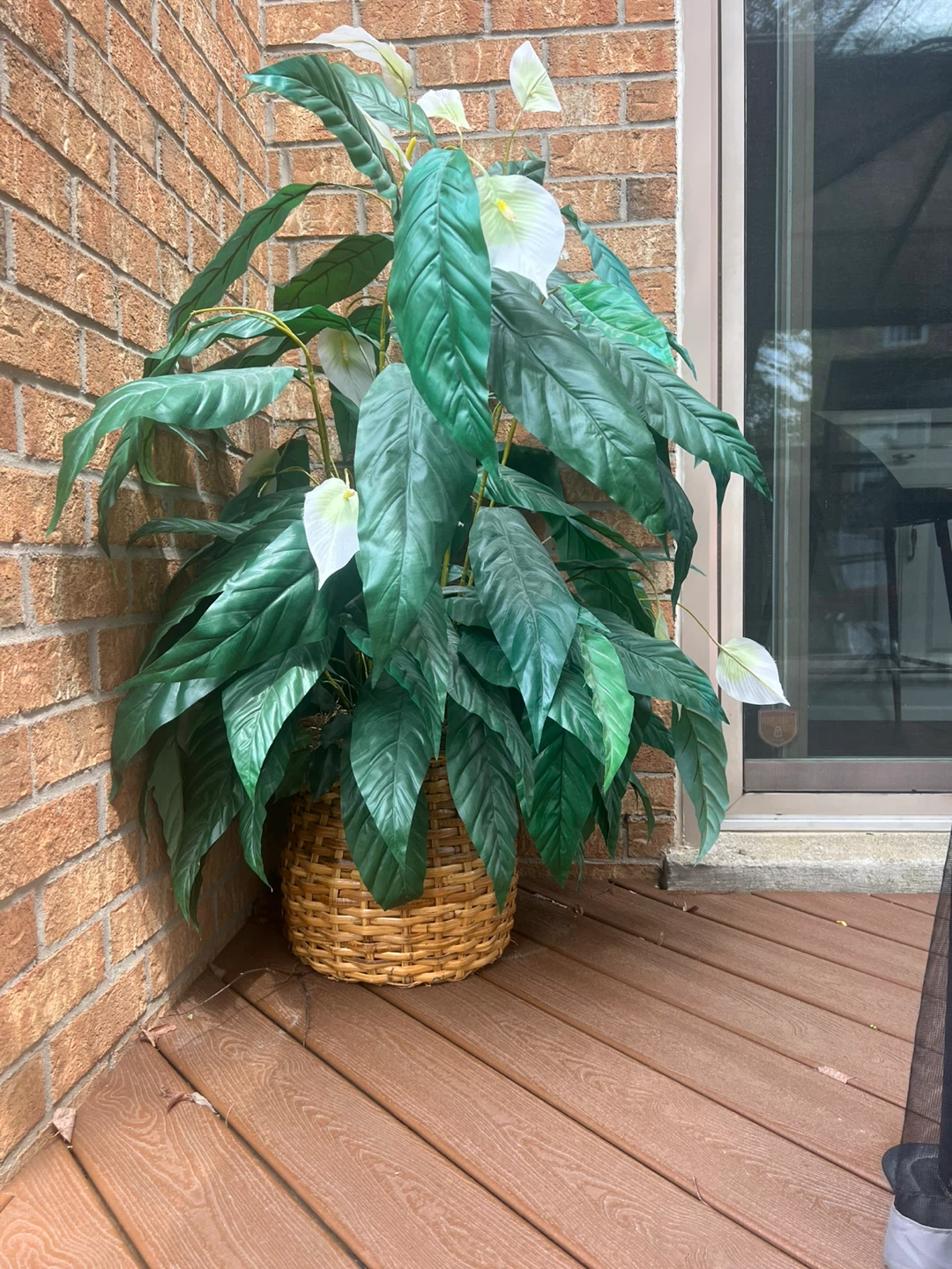 Large Artificial Fiddle Leaf Fig Plant with Basket