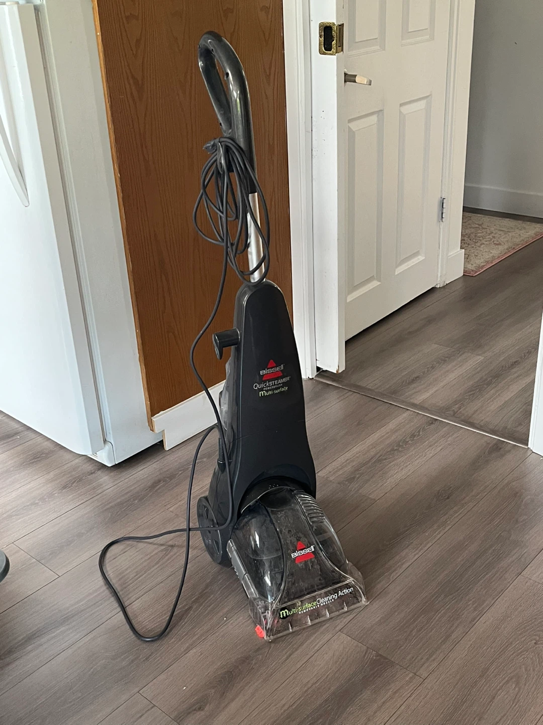 Bissell QuickSteamer Multi-Surface Cleaner