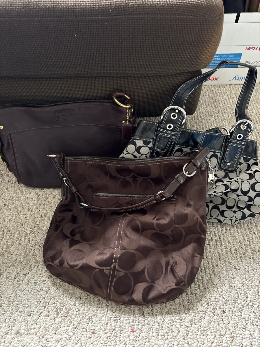 Coach Handbags