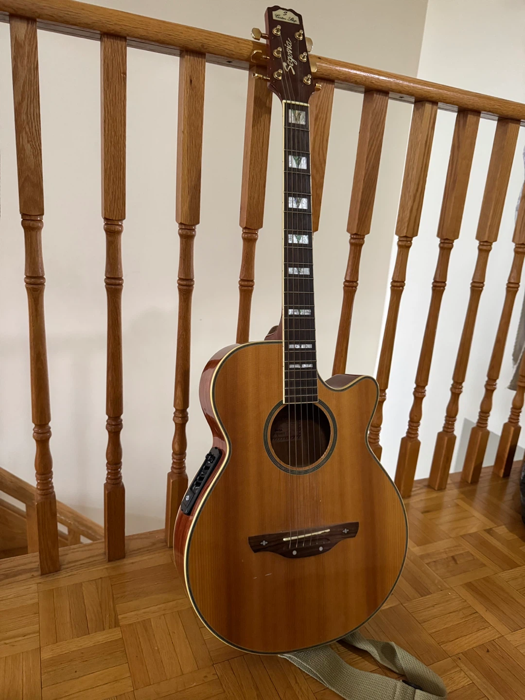 Sigma Acoustic Electric Guitar with Gig Bag - photo 3