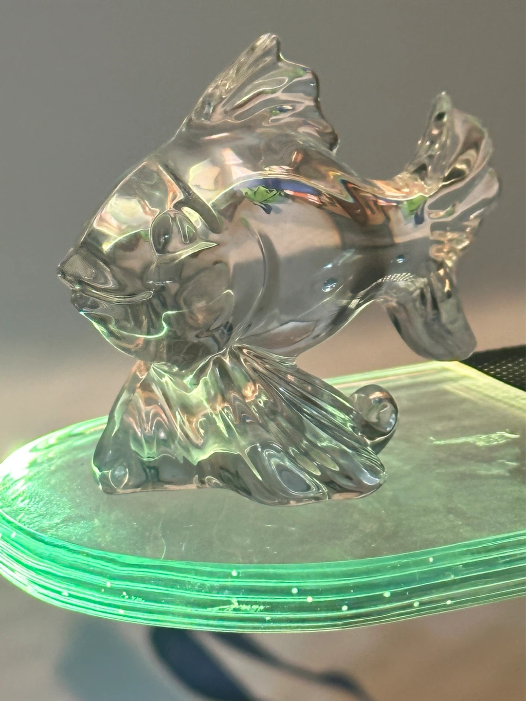 Princess house crystal tropical fish - photo 3
