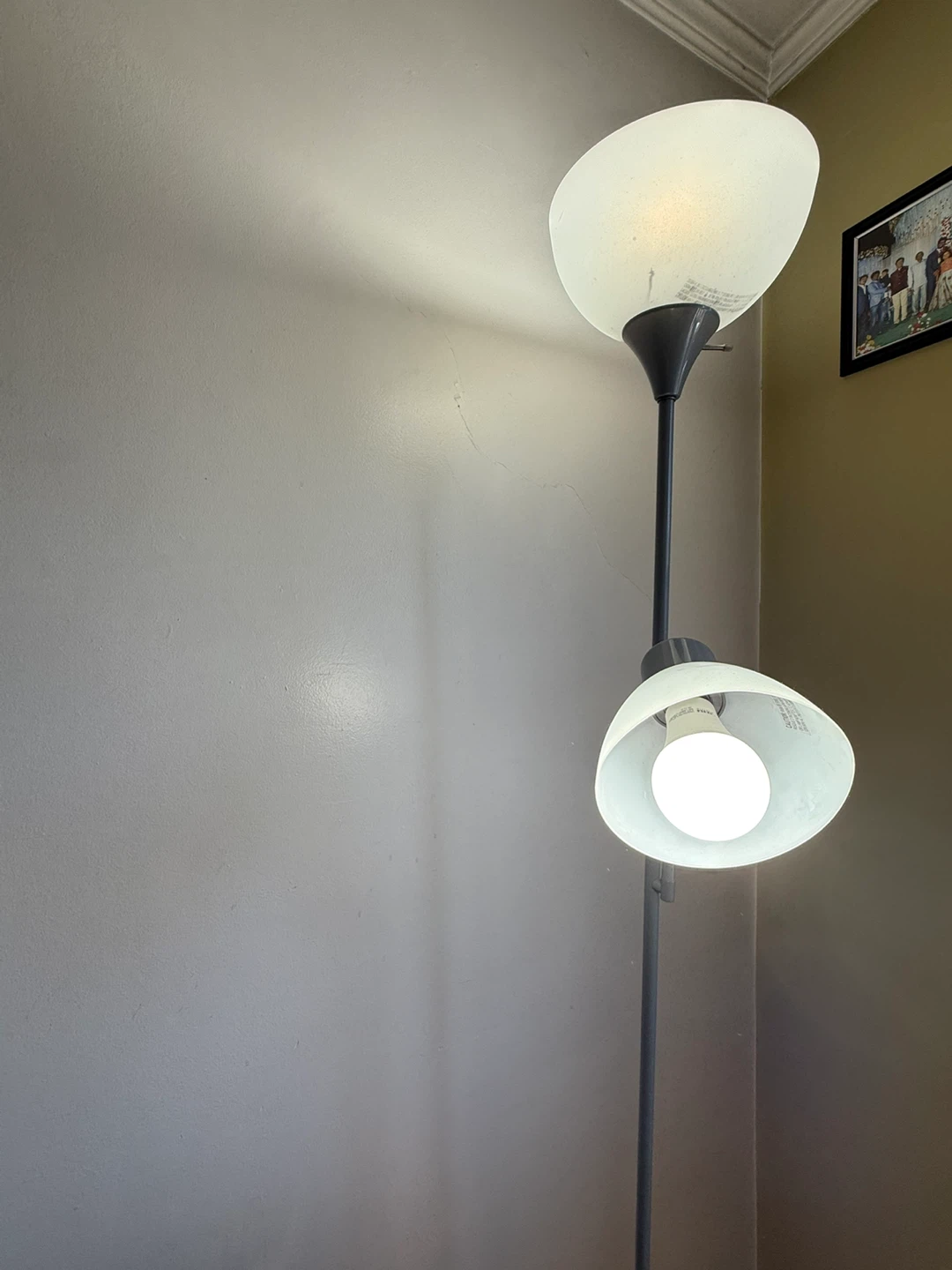 Adjustable Floor Lamp - photo 3