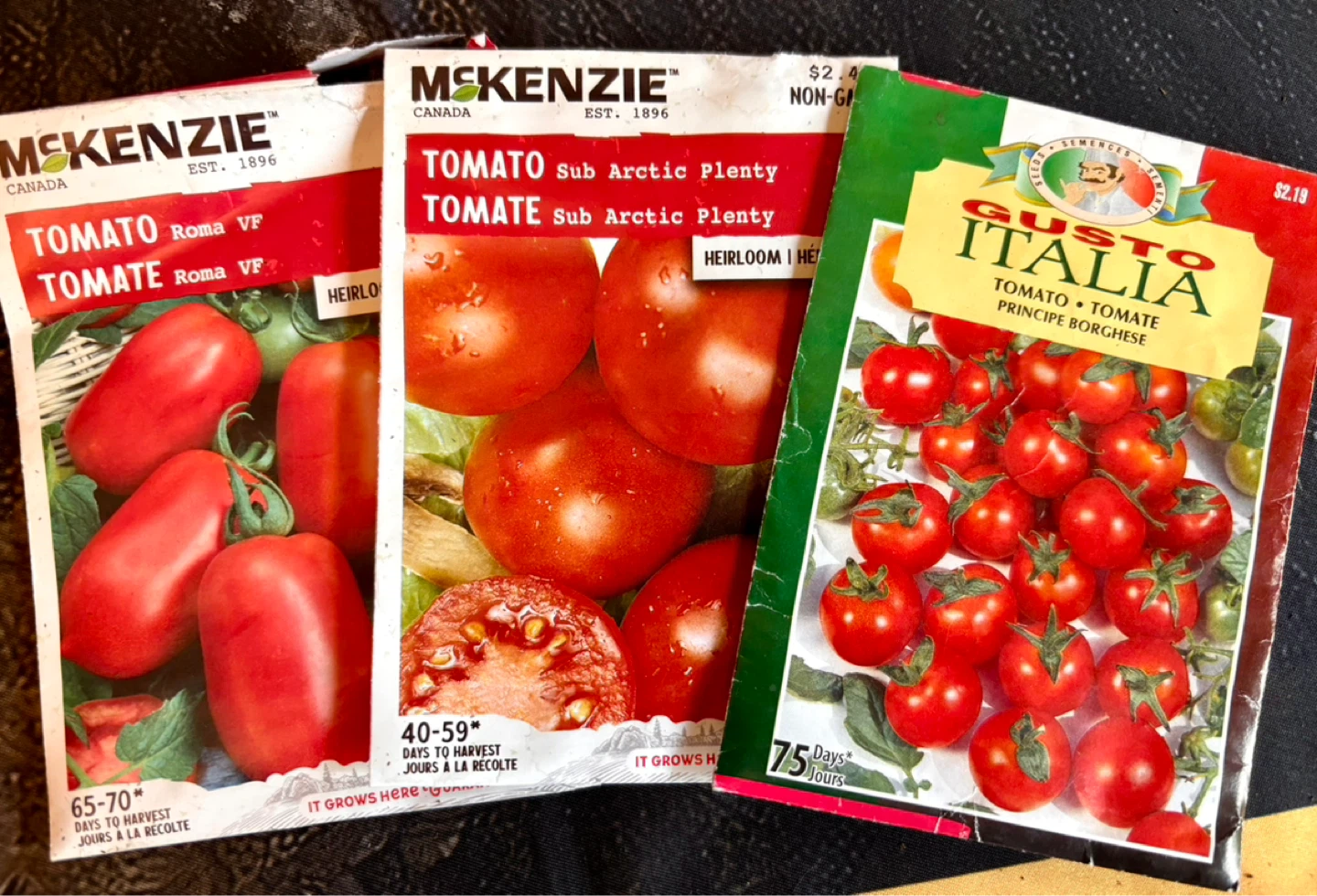 Sub Arctic Plenty/Roma/Principe Borghese Tomato Seedlings