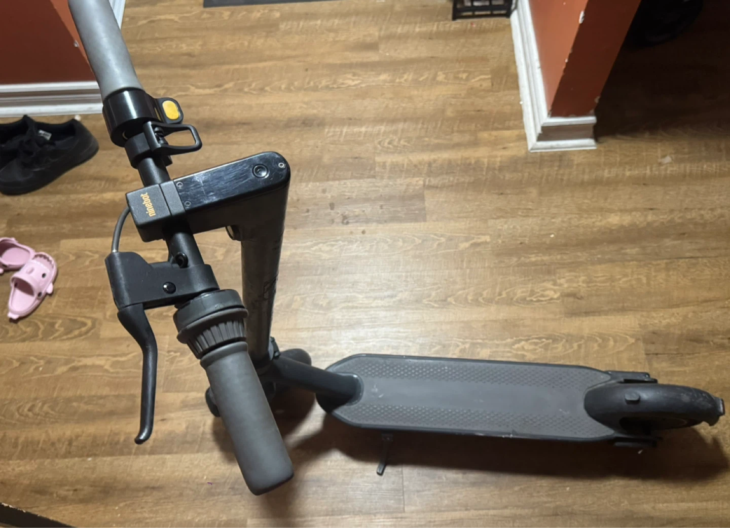 Ninebot Electric Scooter