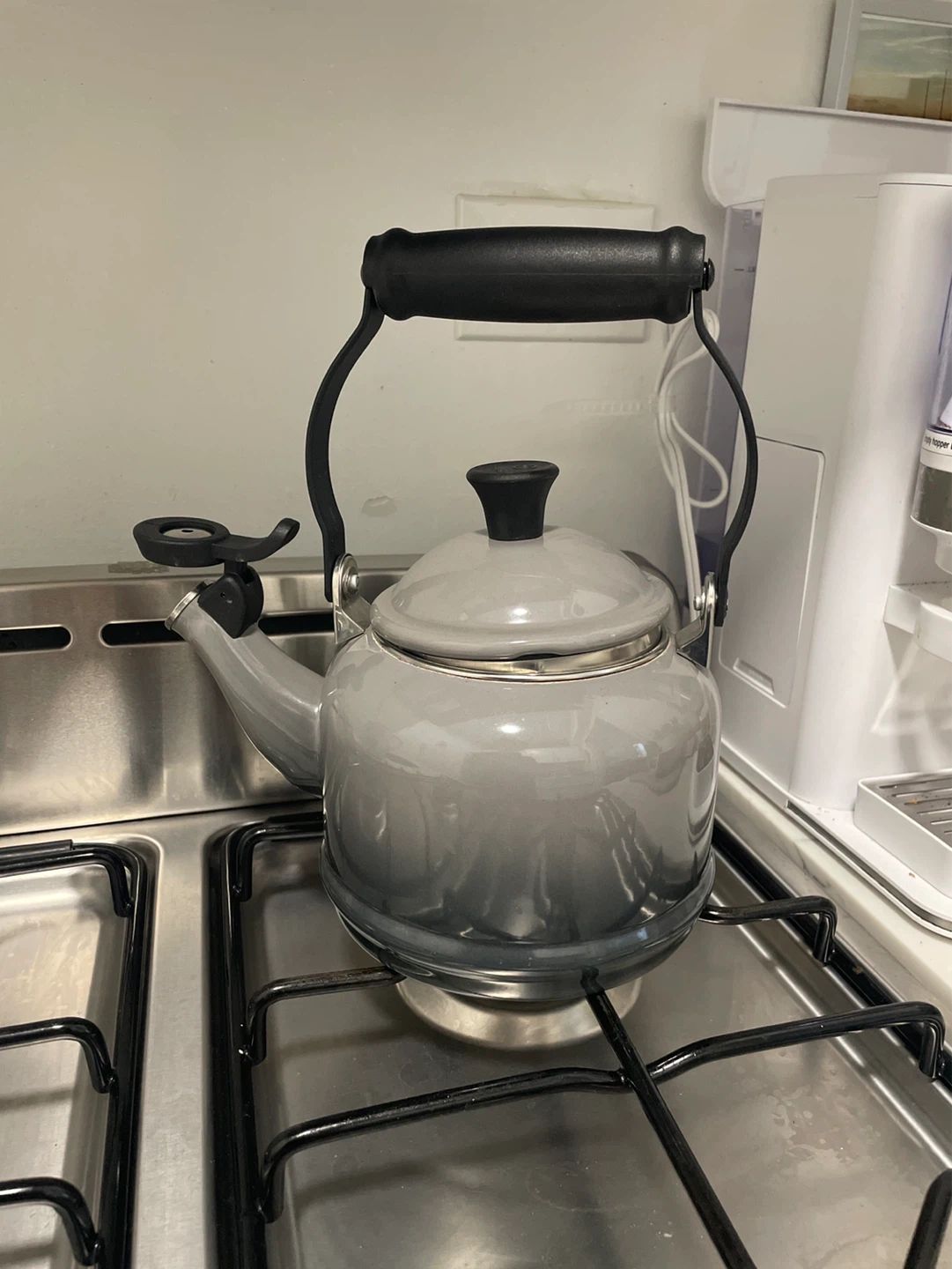 Le Creuset Gray Enamel Kettle