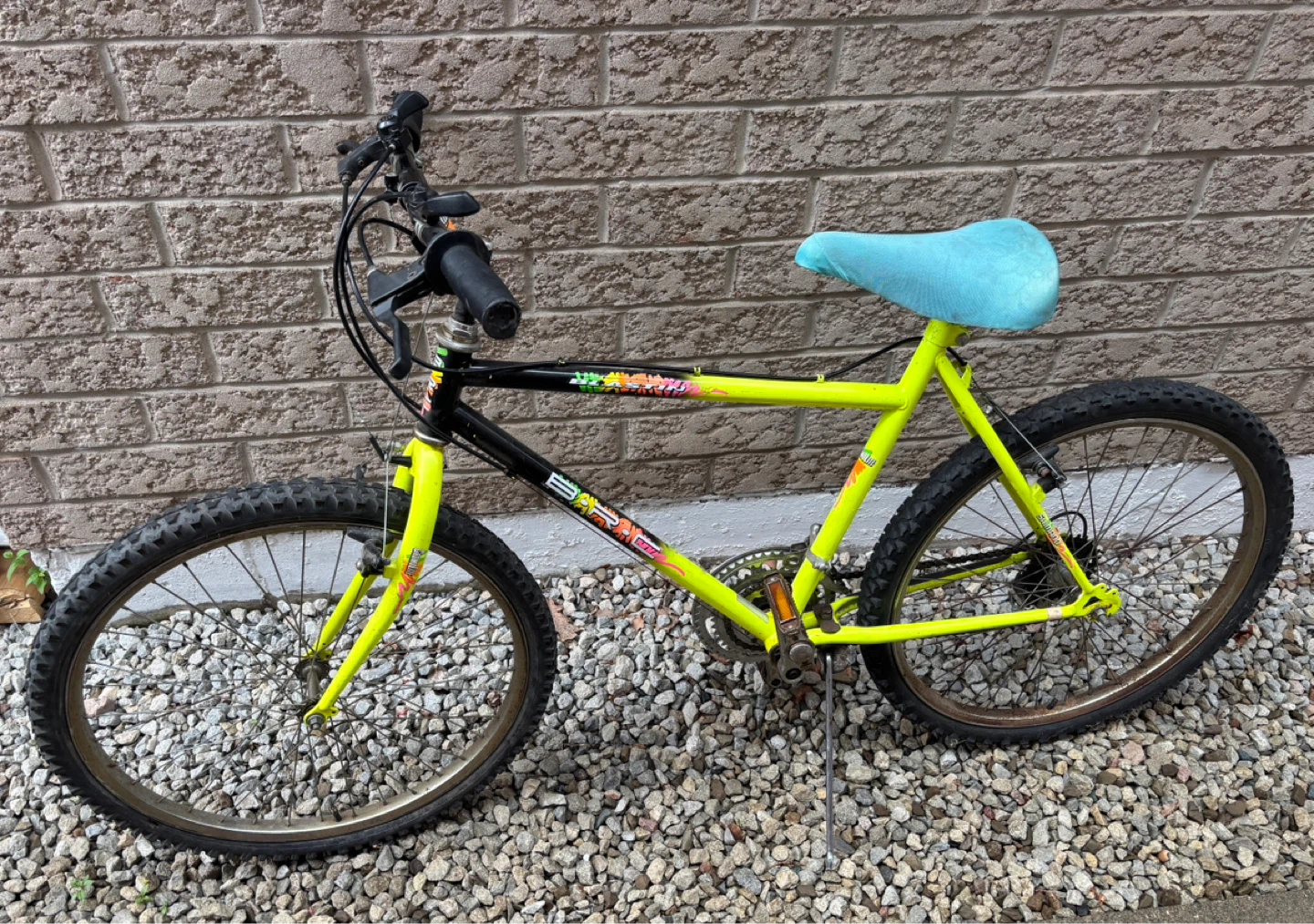 Bicycle (6-speed Shimano SIS derailleur)