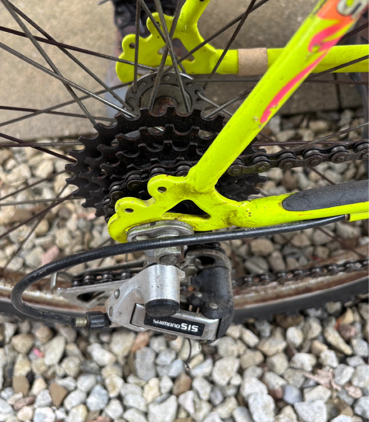 Bicycle (6-speed Shimano SIS derailleur) - photo 2