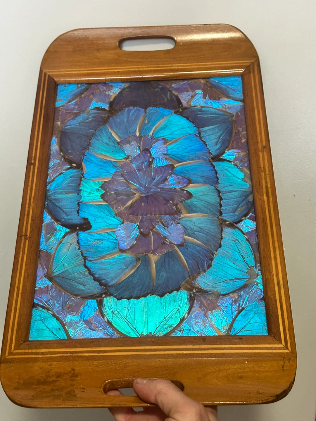 Butterfly Wing Art Wood Serving Tray with Inlay MCM Brazil