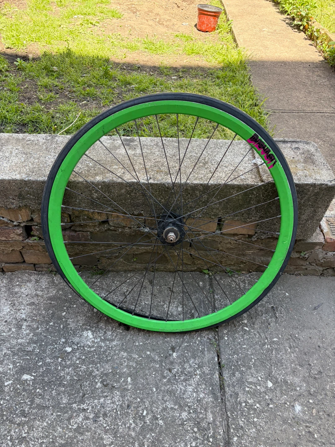 Green and Blue Bicycle Wheel with Tire