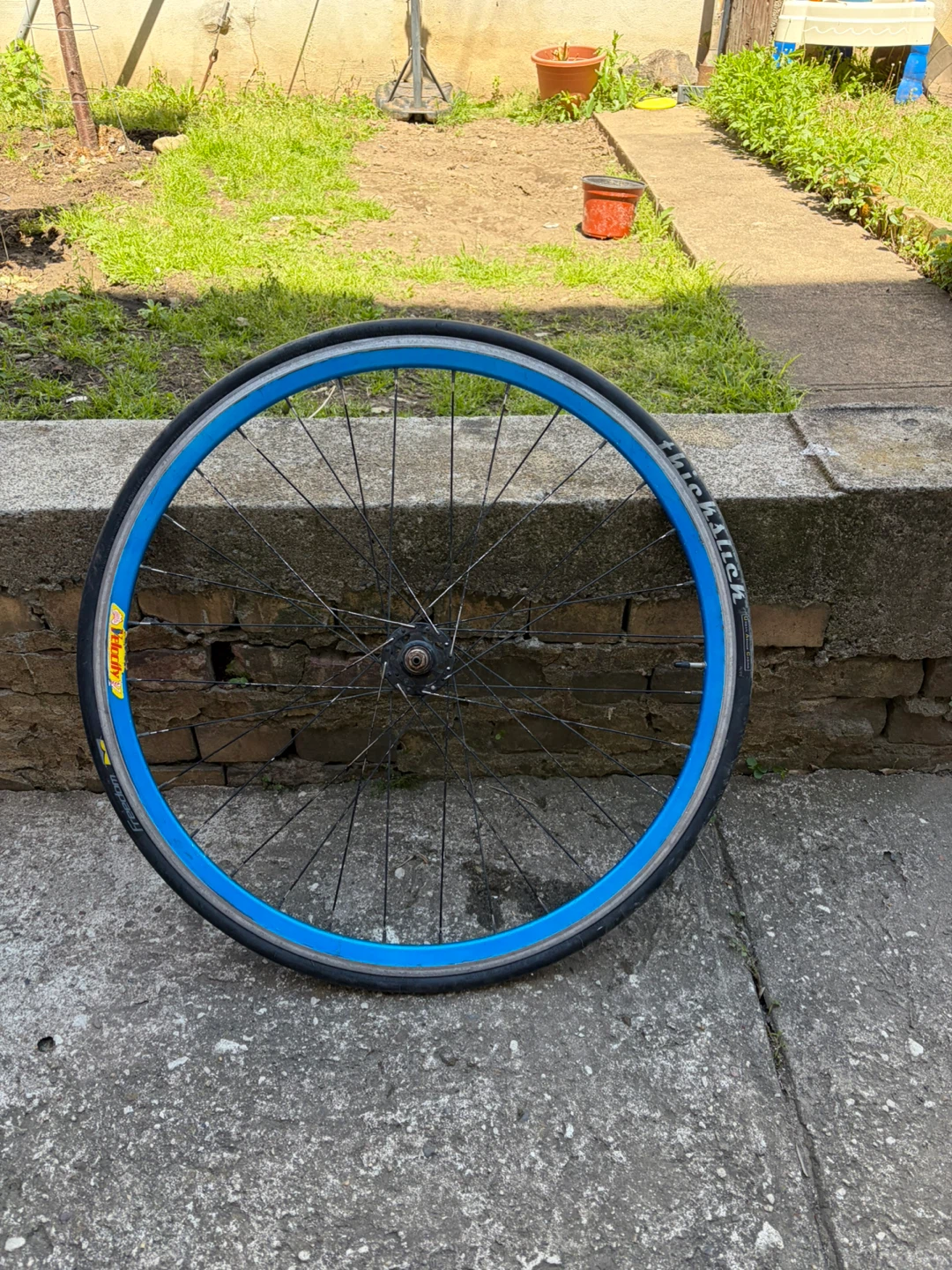 Green and Blue Bicycle Wheel with Tire - photo 3