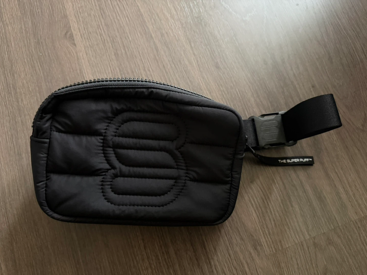 Aritzia The Super Puff Bag - cliMATTE