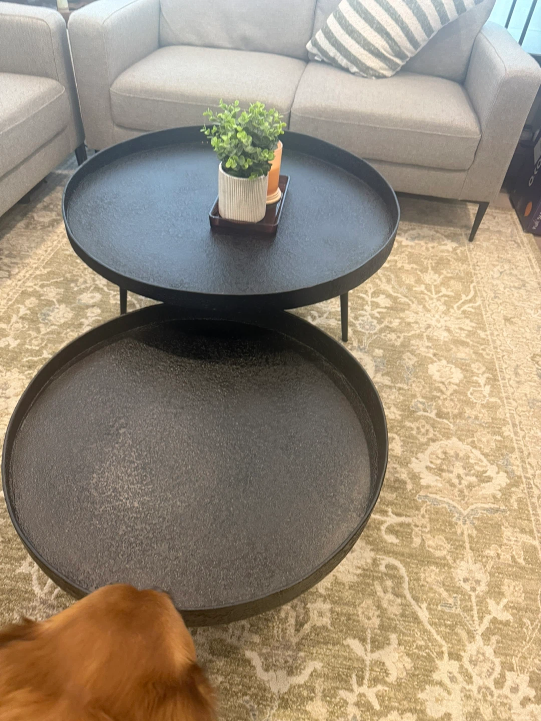Circular Black Center tables from Structube - photo 2