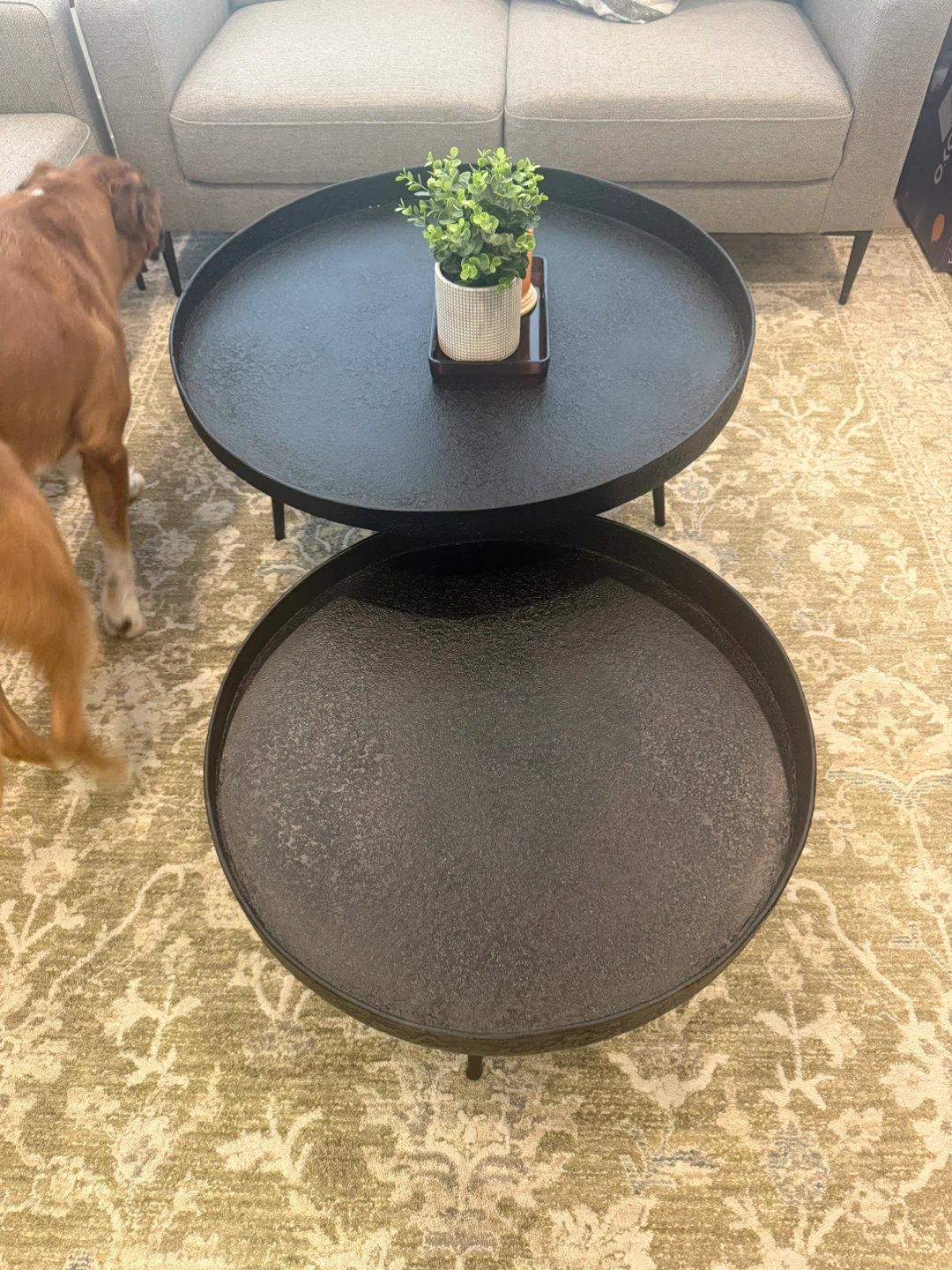 Circular Black Center tables from Structube - photo 3
