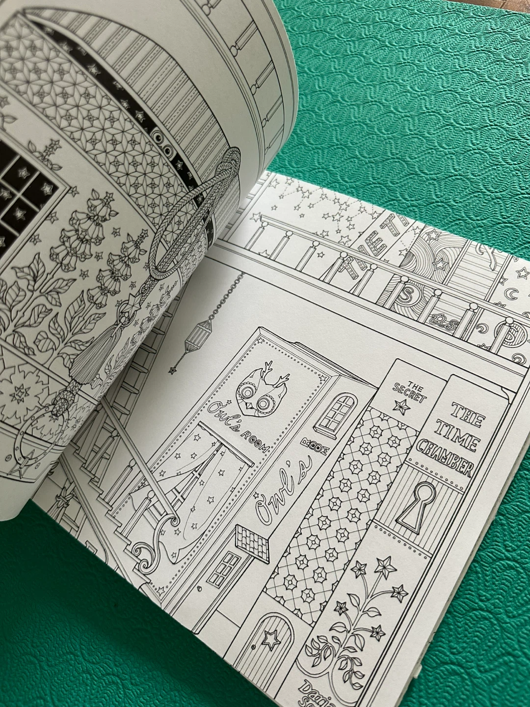 The Time Chamber Coloring Book by Daria Song - photo 3