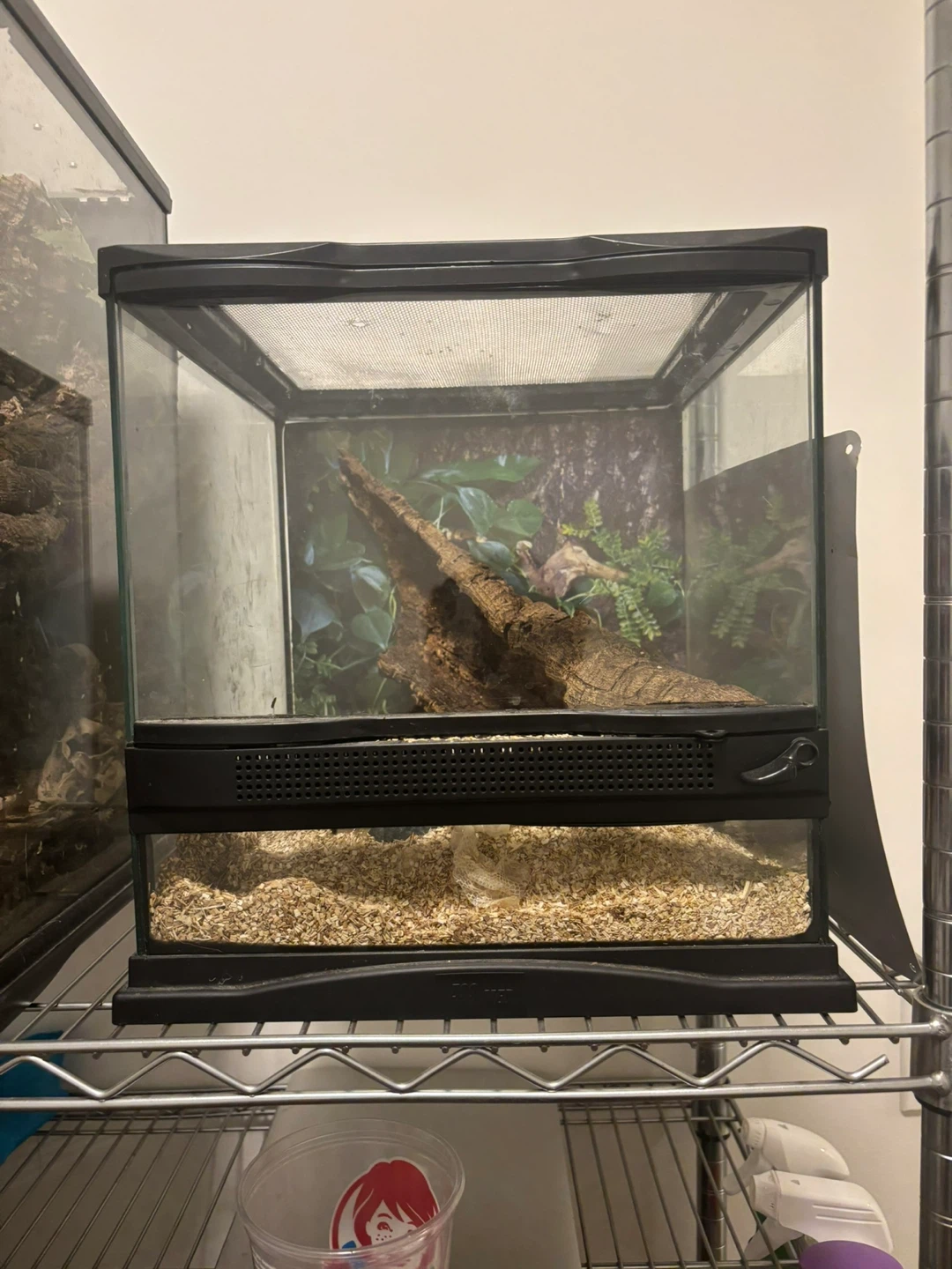 Terrarium / Vivarium Enclosure