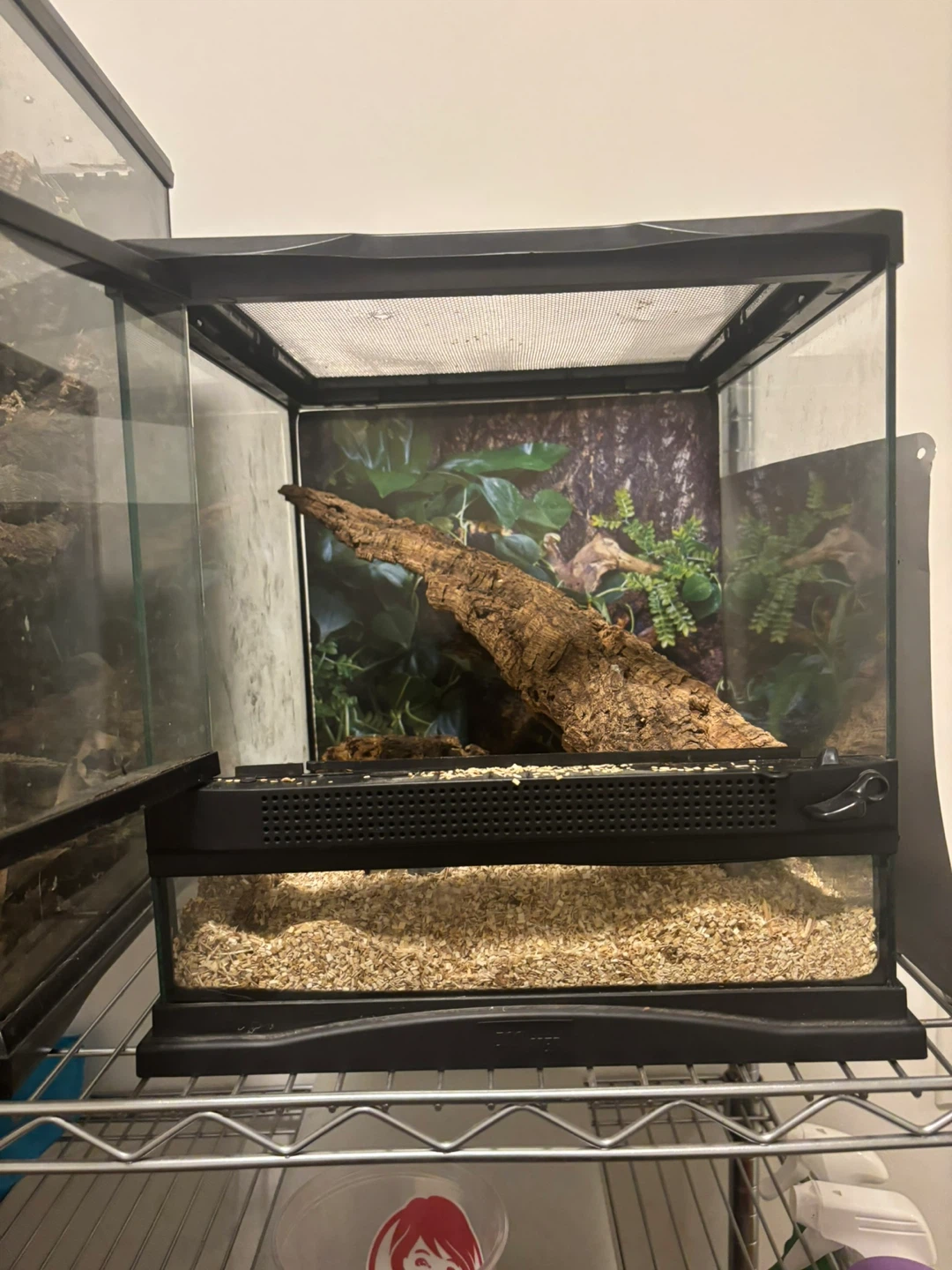 Terrarium / Vivarium Enclosure - photo 2