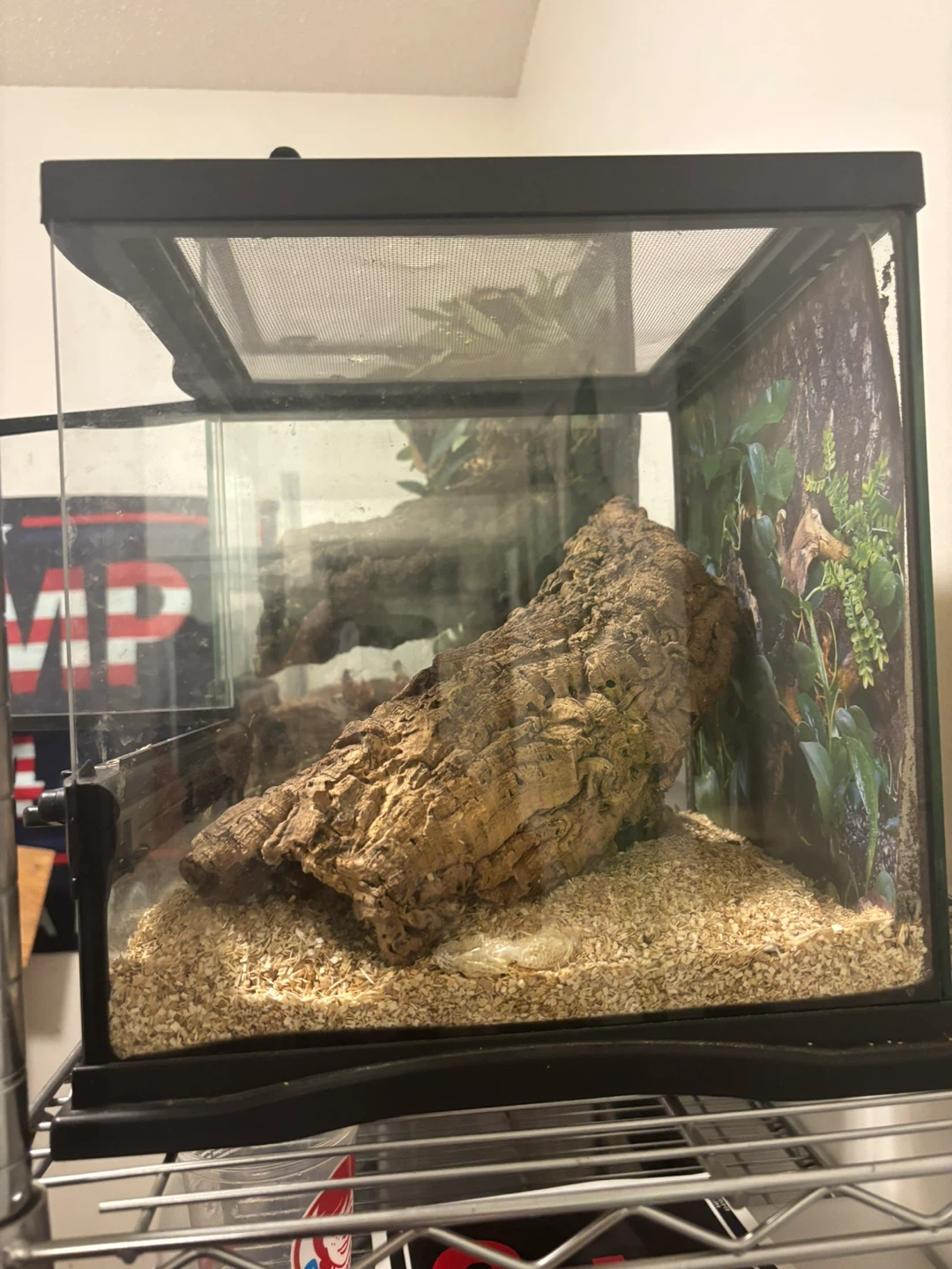 Terrarium / Vivarium Enclosure - photo 3