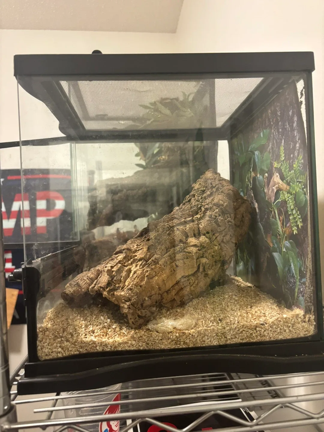 Terrarium / Vivarium Enclosure - photo 3