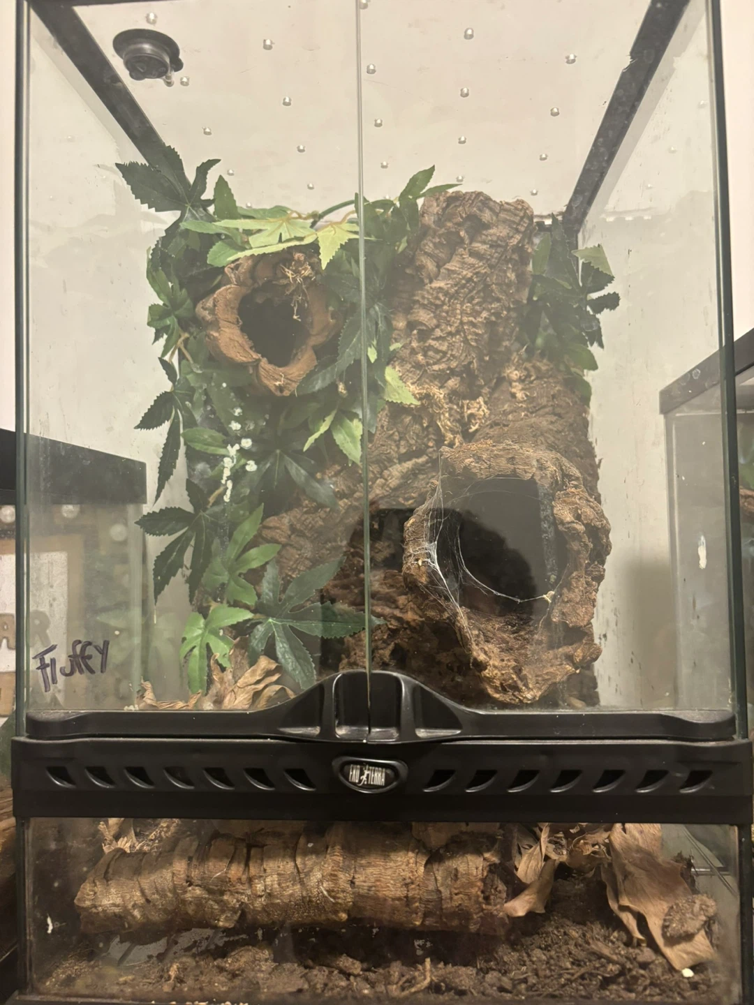 Terrarium Tank with Decor