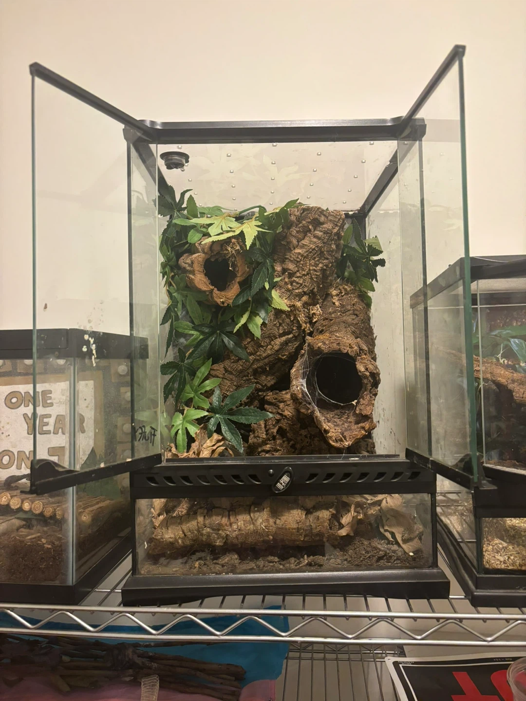Terrarium Tank with Decor - photo 2
