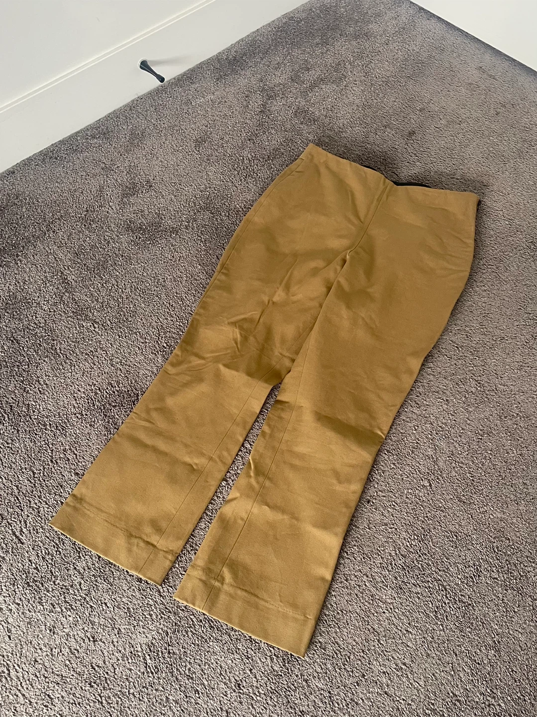Everlane Tan Pants