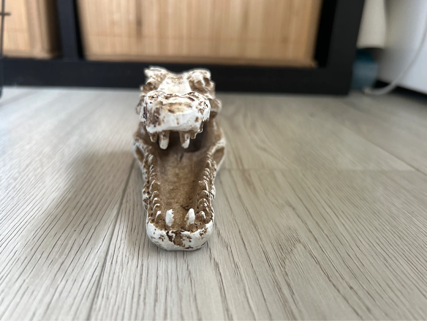 Alligator Skull Desk Organizer - photo 2