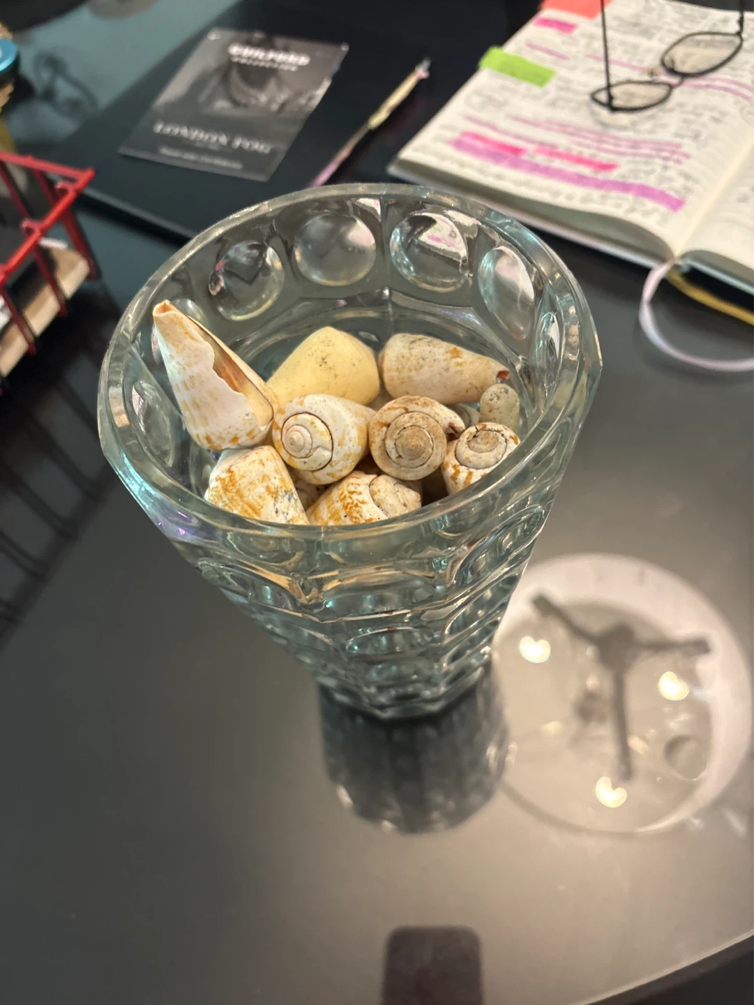 Decorative Glass Vase with Shells - photo 2